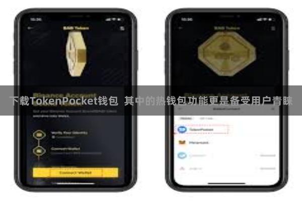 下载TokenPocket钱包  其中的热钱包功能更是备受用户青睐